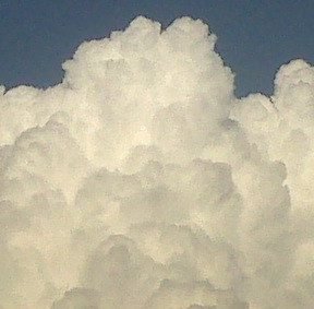 Christian Women's Responsibility in Sharing God's Word